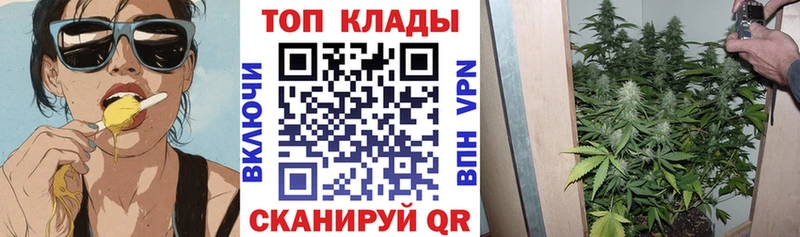 Виды наркоты Облучье Галлюциногенные грибы ГАШИШ КОКАИН