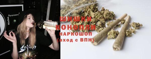 ешки Бронницы