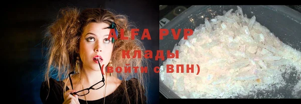 ECSTASY Богданович