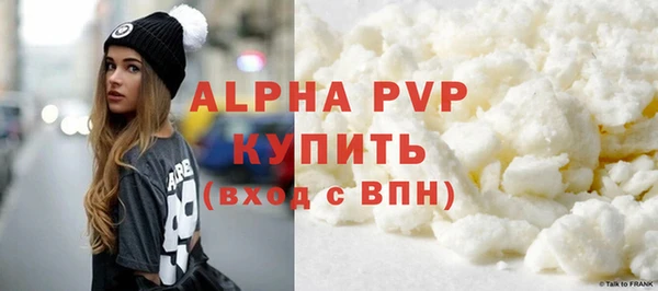 ECSTASY Богданович