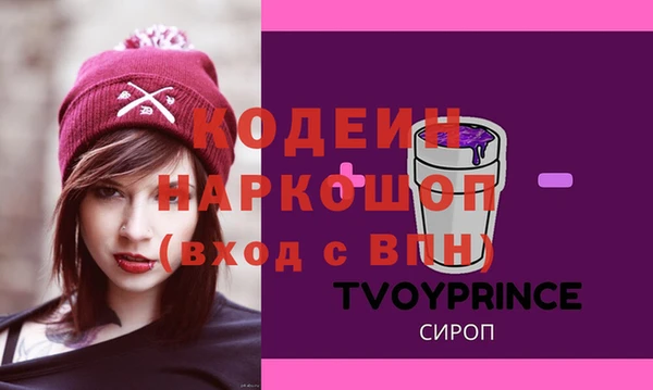 ECSTASY Богданович
