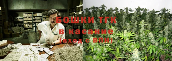 2c-b Дмитриев