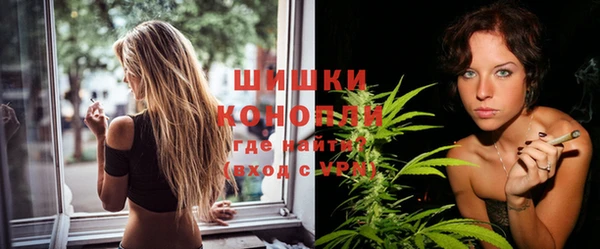 ешки Бронницы