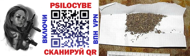 как найти закладки Облучье Псилоцибиновые грибы прущие грибы